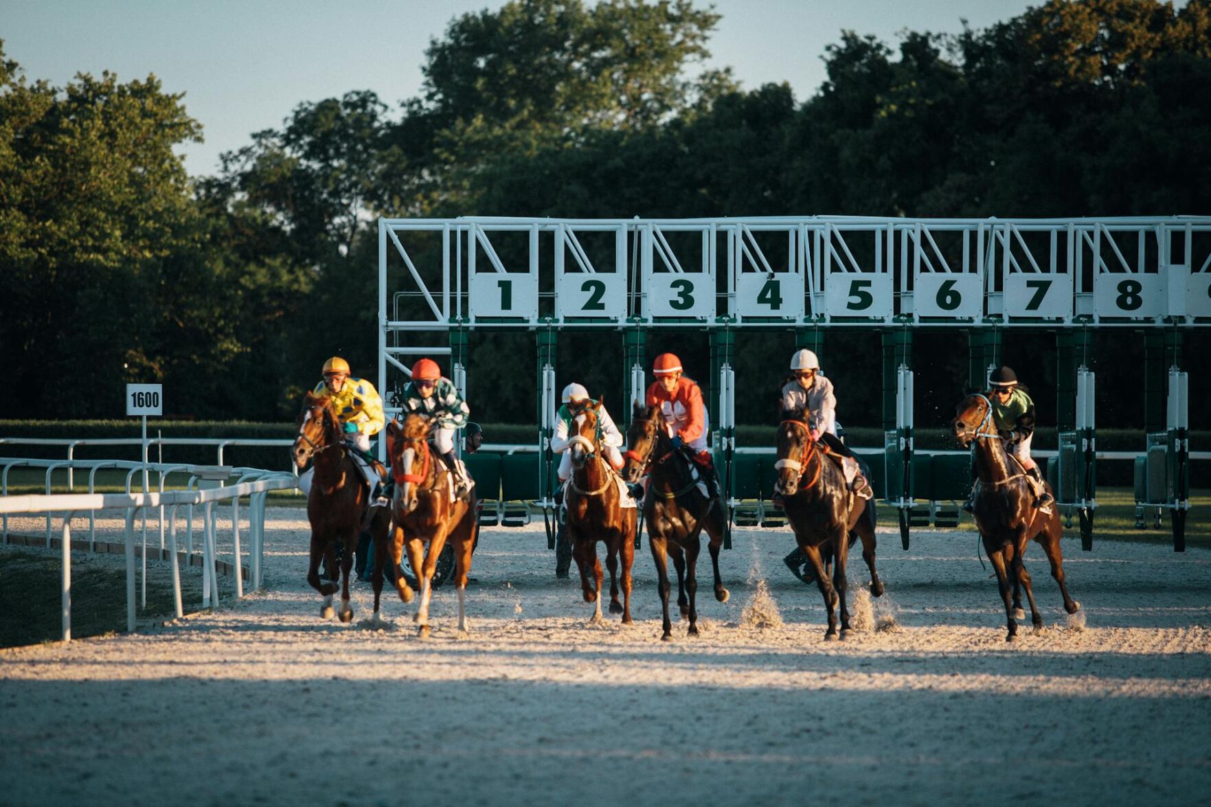 Countdown to Derby Day Your Complete Preparation Checklist